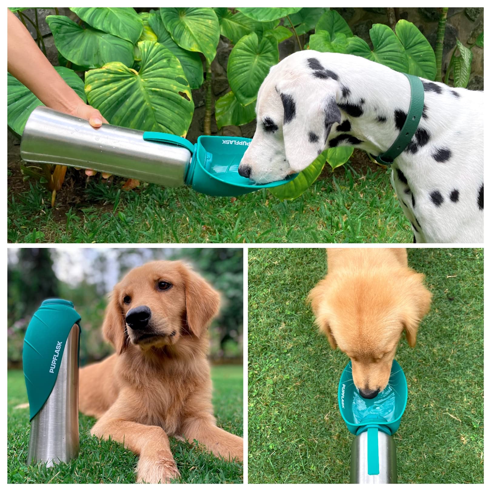 PupFlask, hydratation en déplacement, sans bol séparé grâce au design intégré.