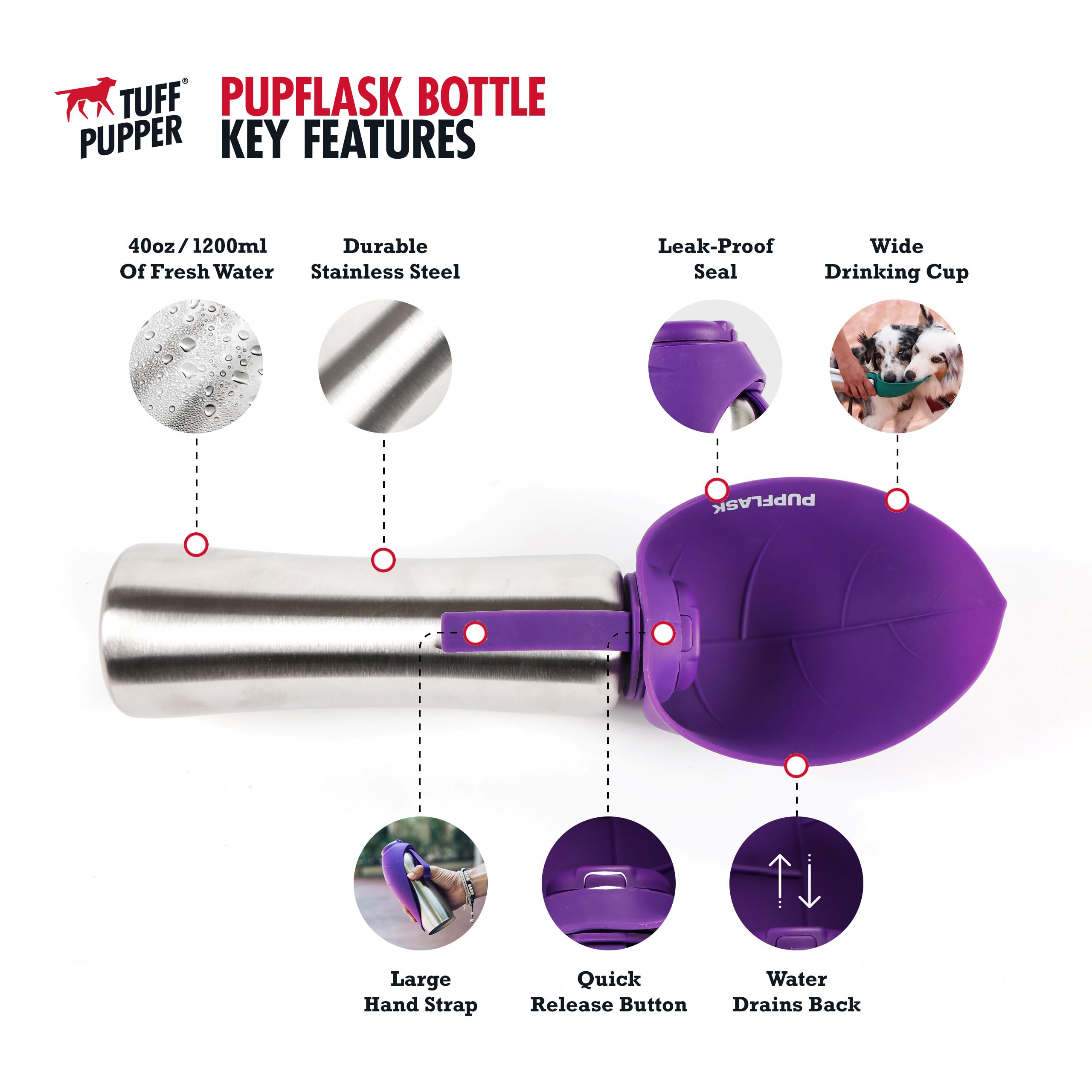 PupFlask idéale en voyage, hydratation rapide lors des balades