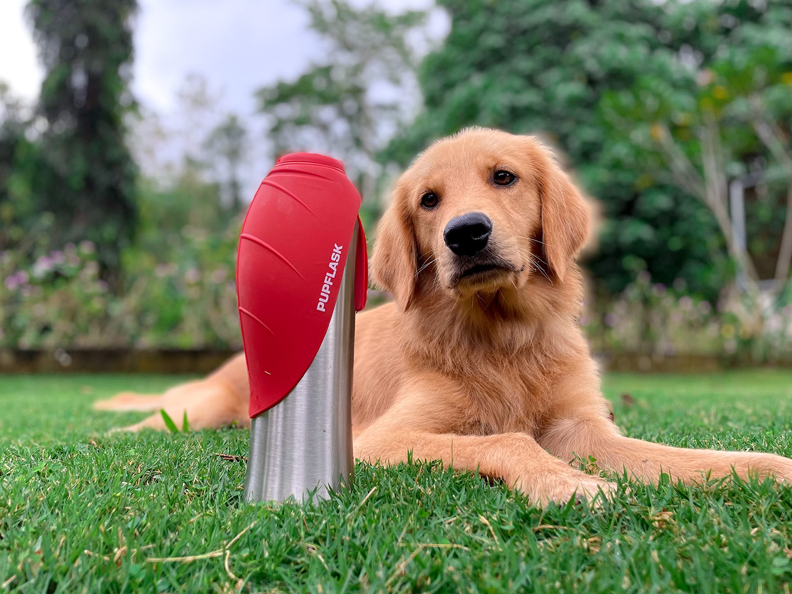 PupFlask nettoyage rapide et sûr, idéal pour voyages et sorties.