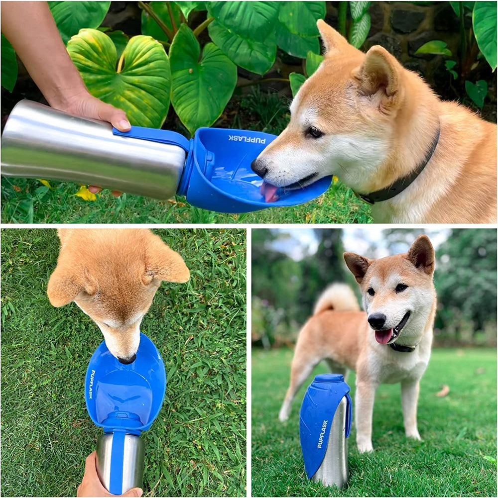 PupFlask, silicone alimentaire sans odeur après usage.