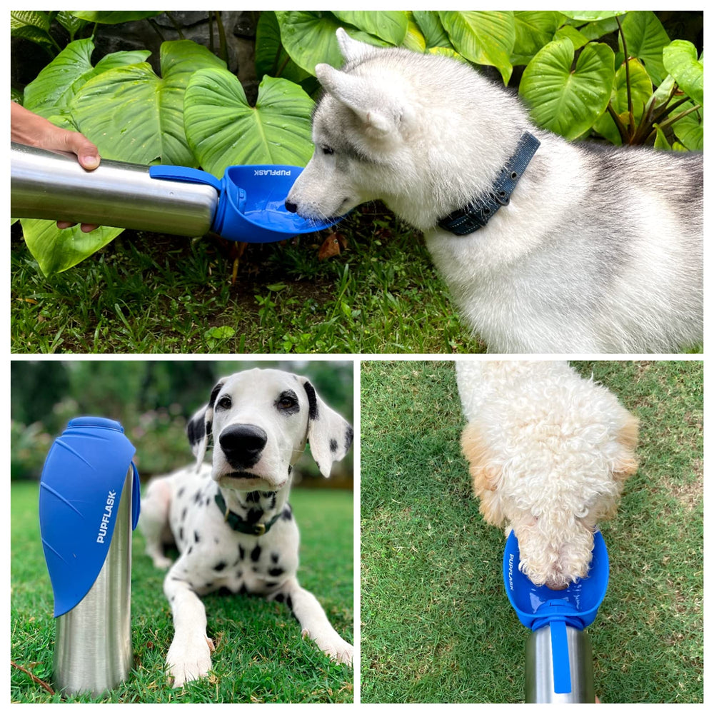 PupFlask : silicone inodore et sans odeur après usage, hygiène facilitée.