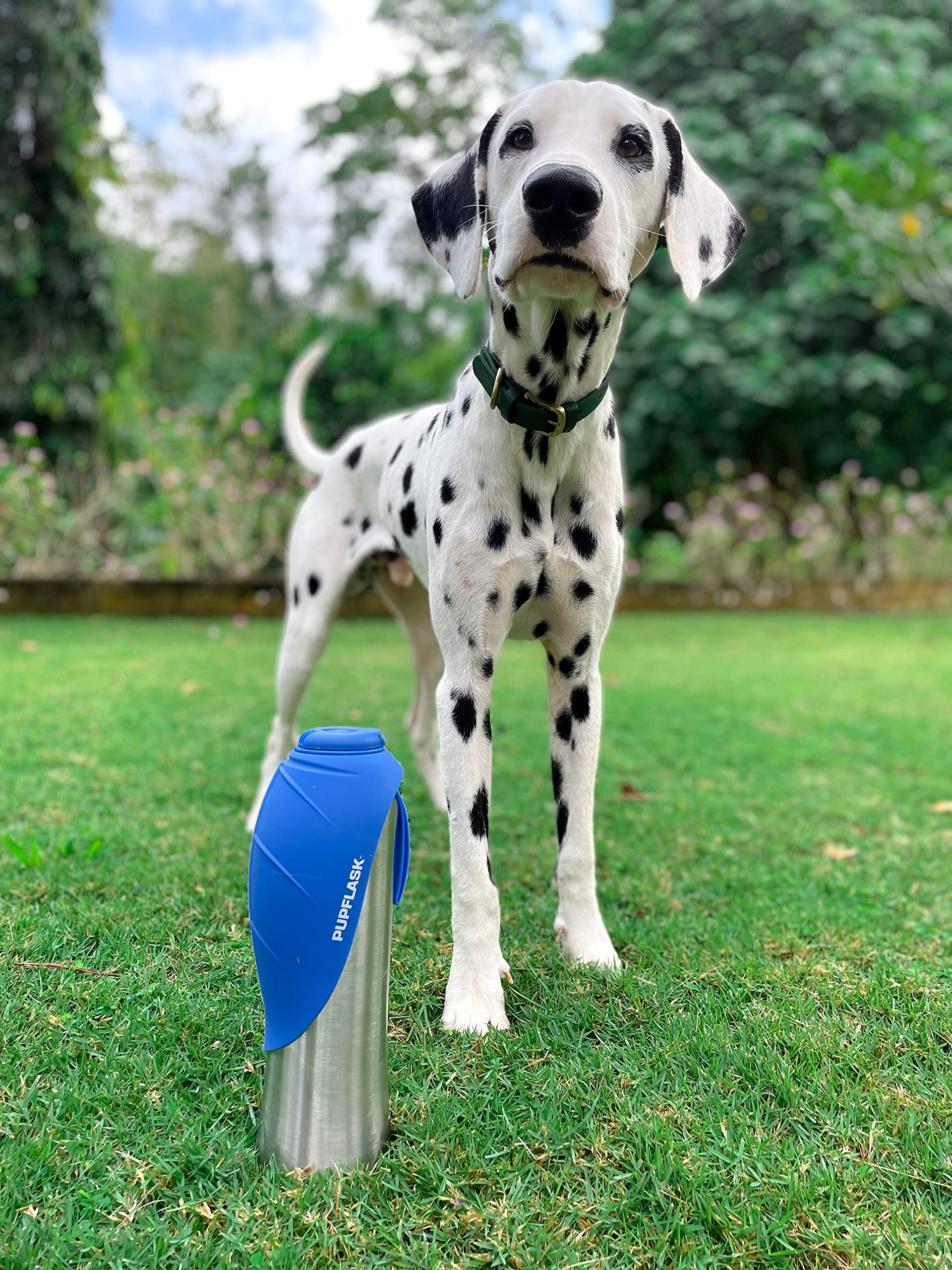 PupFlask : usage en extérieur pour chiens lors des randonnées et balades.