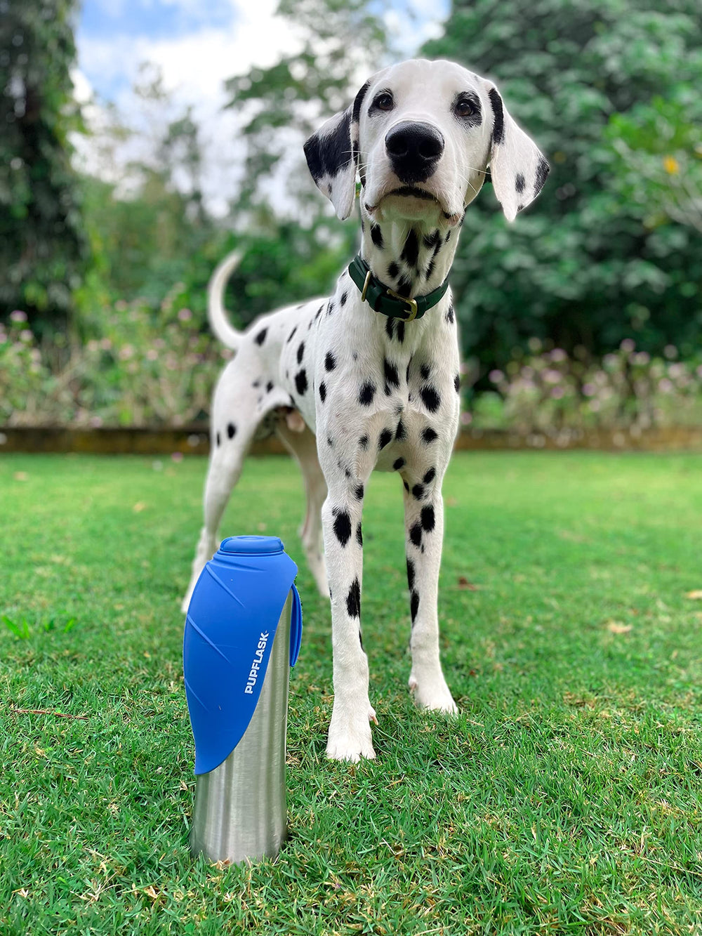 PupFlask : usage en extérieur pour chiens lors des randonnées et balades.