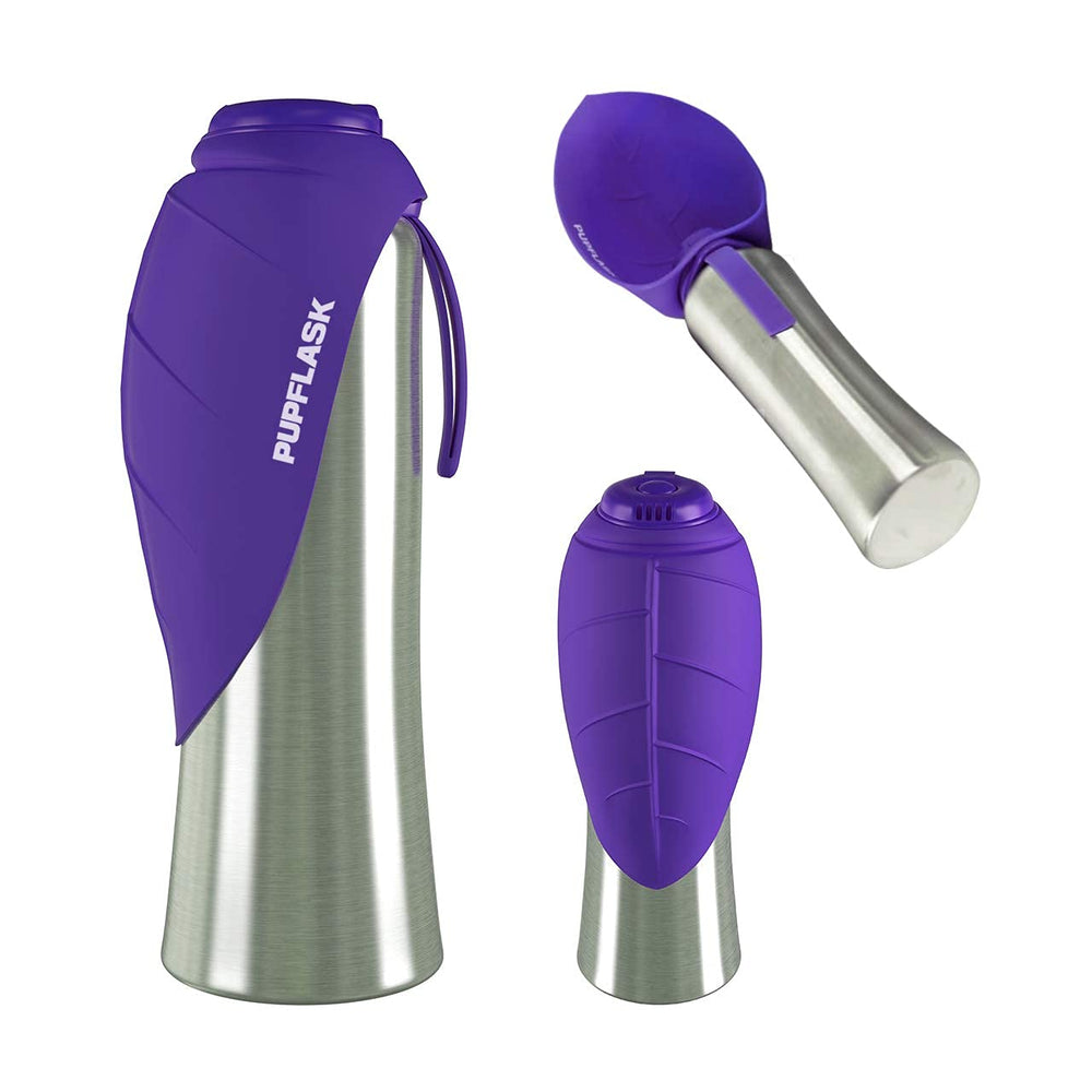 Utilisation rapide PupFlask pour verser de l’eau sans gaspillage