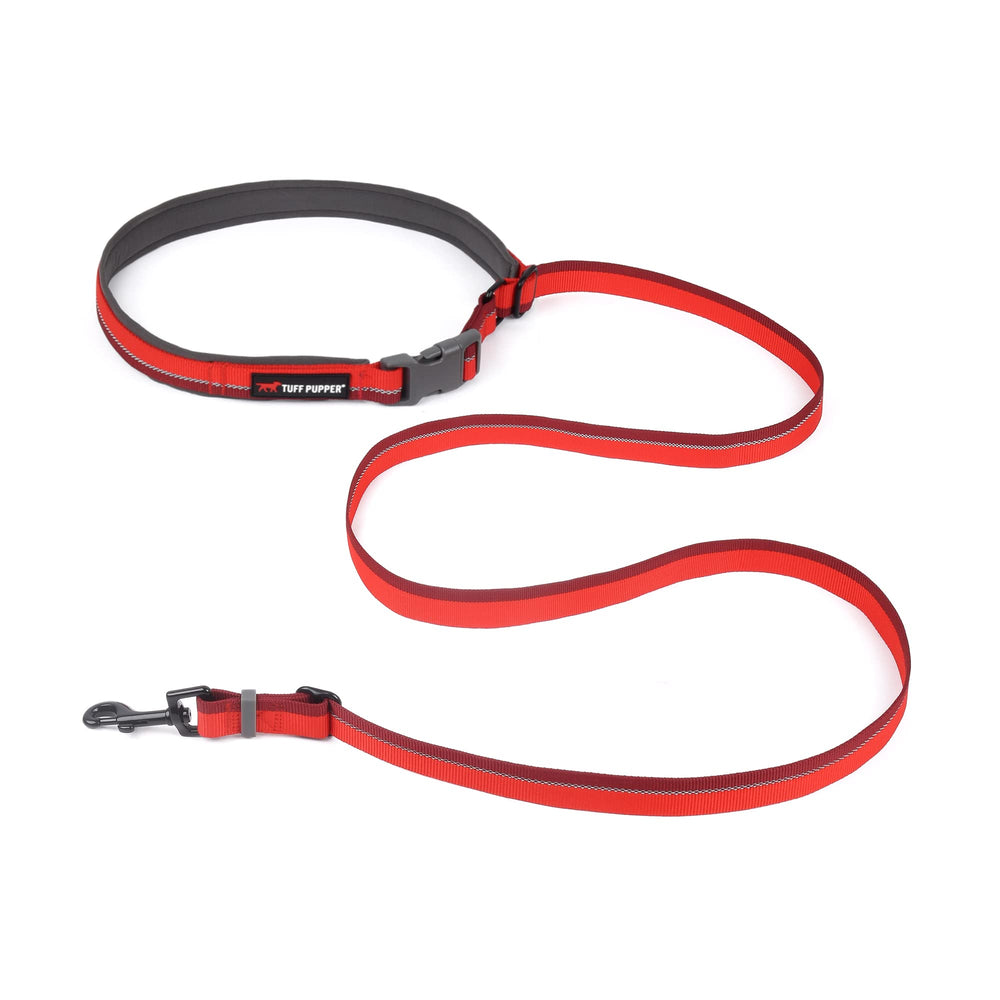 Réflectivité 3M le long de la laisse Tuff Pupper pour la sécurité nocturne.