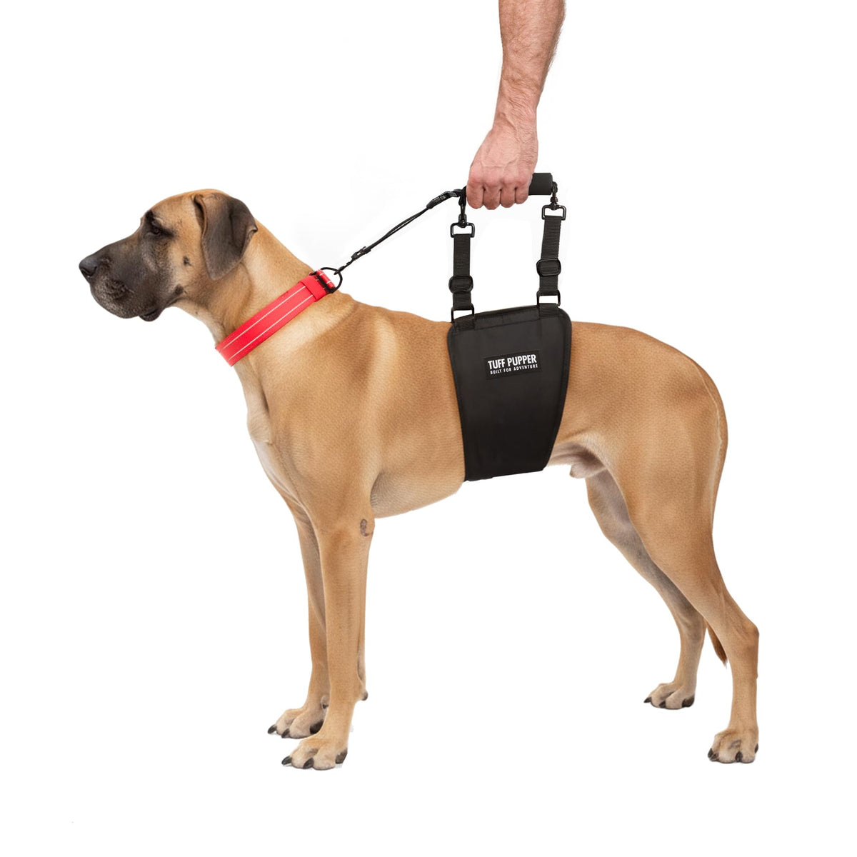 Harnais Sangle-Hanche Arrière Tuff Pupper pour lever et marcher en toute sécurité