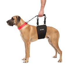 Harnais Sangle-Hanche Arrière Tuff Pupper pour lever et marcher en toute sécurité