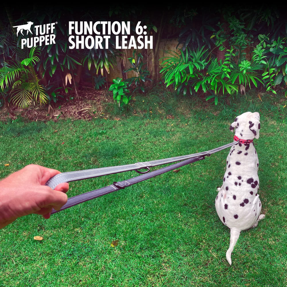 Utilisation quotidienne et sportive de la laisse Tuff Pupper, facile à manipuler.