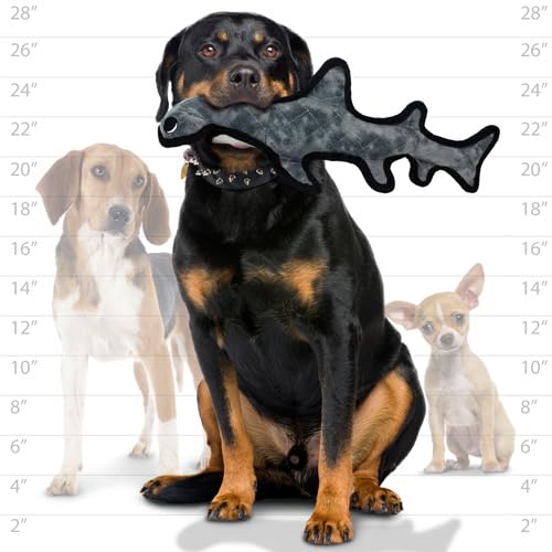 TUFFY Ocean Hammerhead durabilité multi-couches, parfait pour des jeux robustes et durables