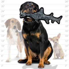 TUFFY Ocean Hammerhead durabilité multi-couches, parfait pour des jeux robustes et durables