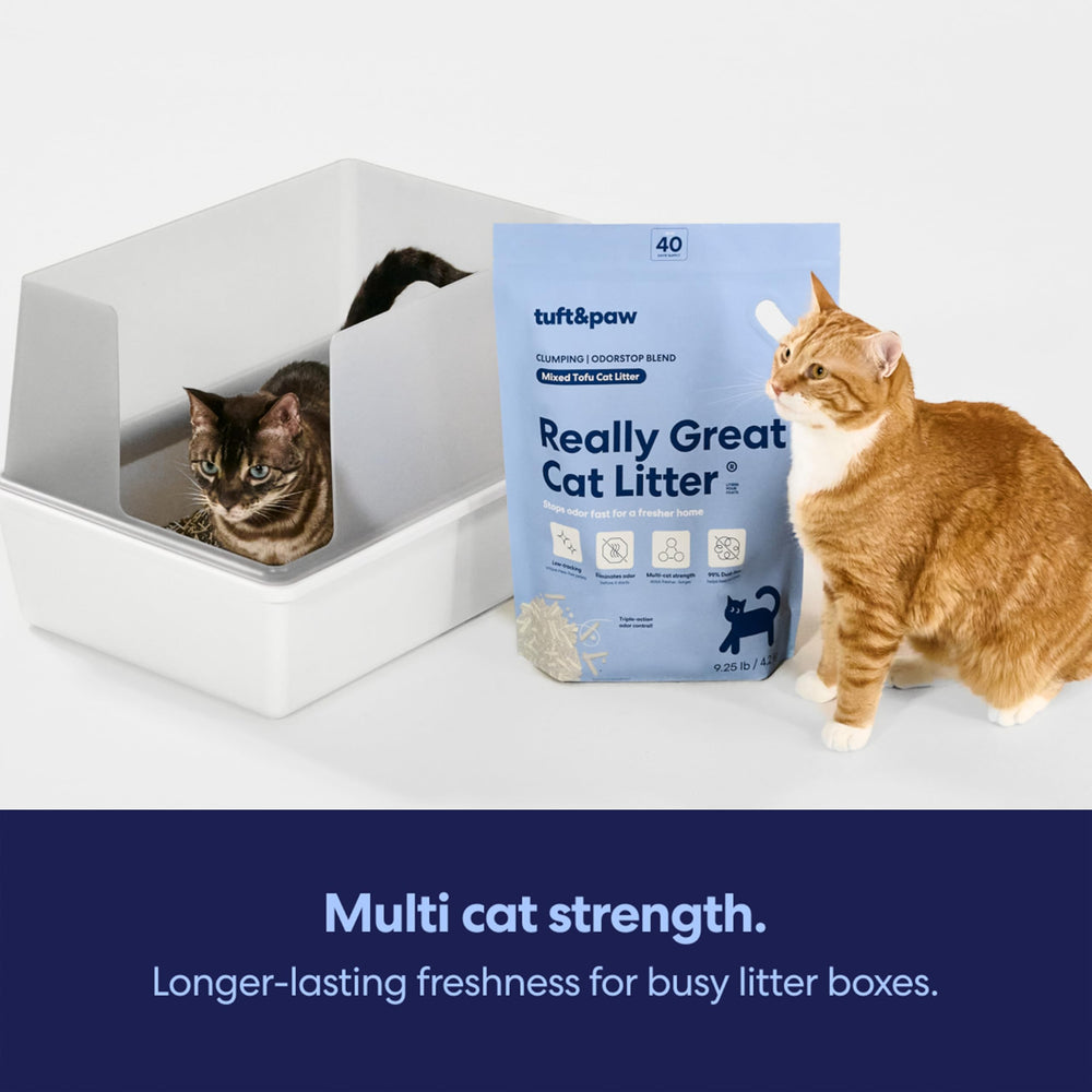 Litière Tuft & Paw OdorStop sans poussière pour un intérieur propre.