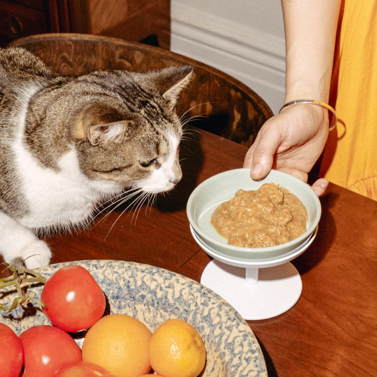 TUFT + PAW portions faciles à doser pour les repas.
