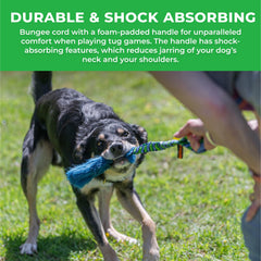 Jouet Tug-E-Nuff Bright Fauxtastic interactif pour chiens de tous âges