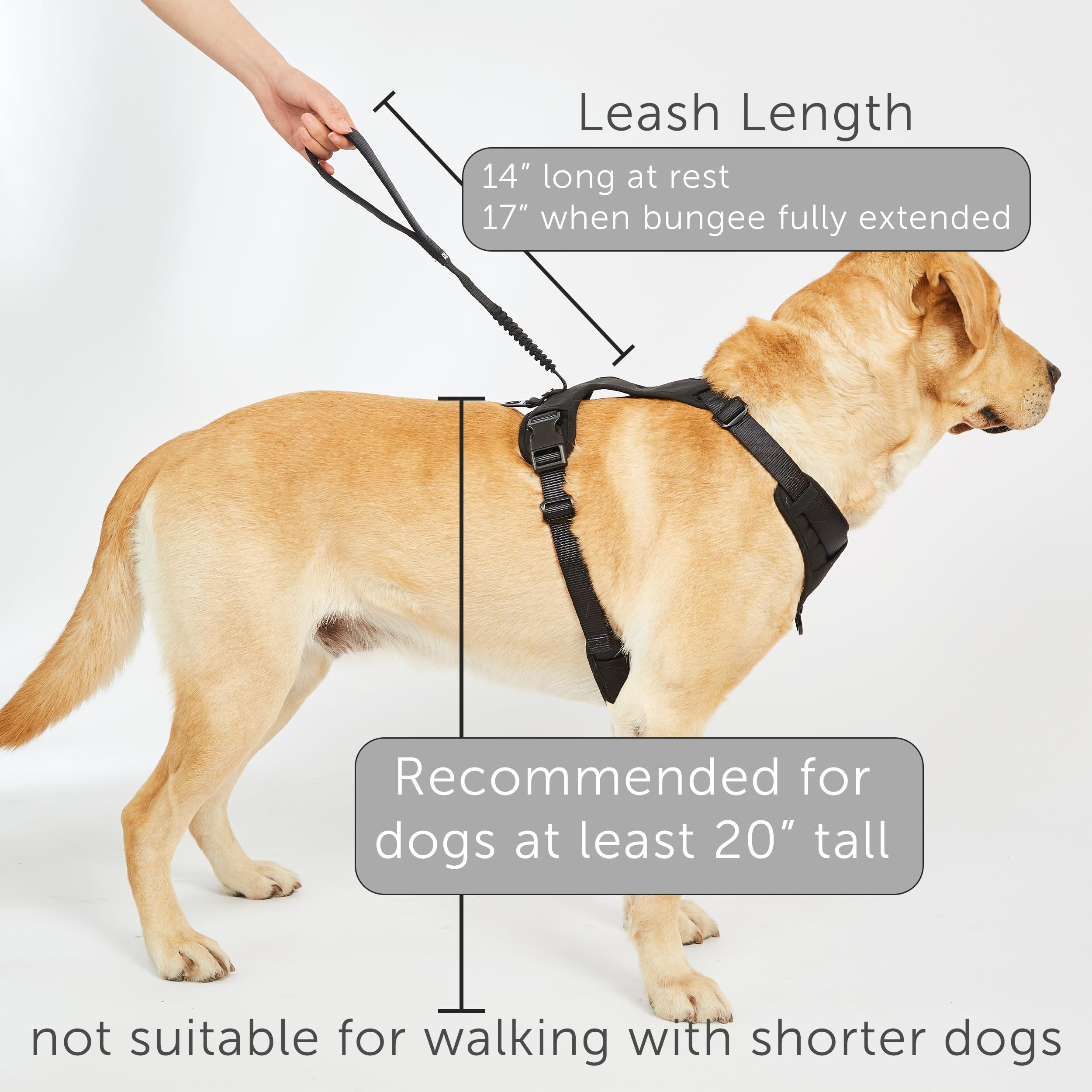Harnais TUG Grab en nylon durable pour chiens actifs.