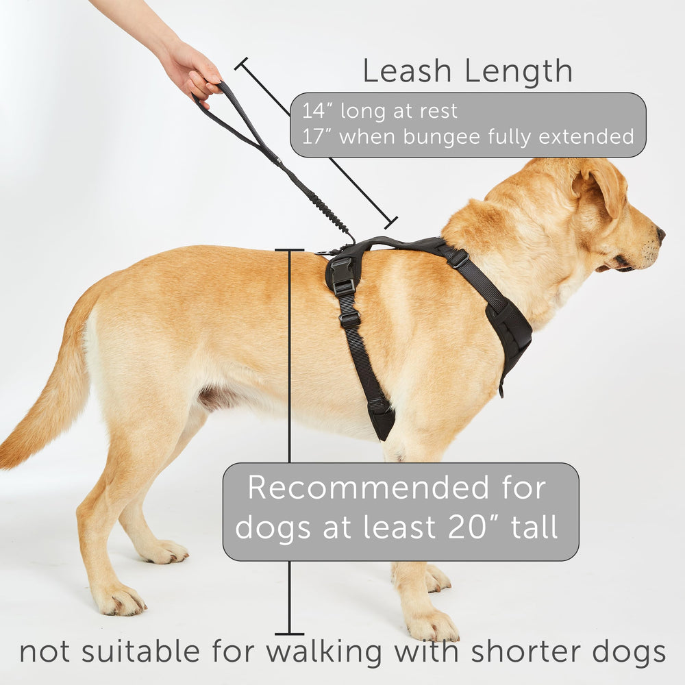 Harnais TUG Grab en nylon durable pour chiens actifs.
