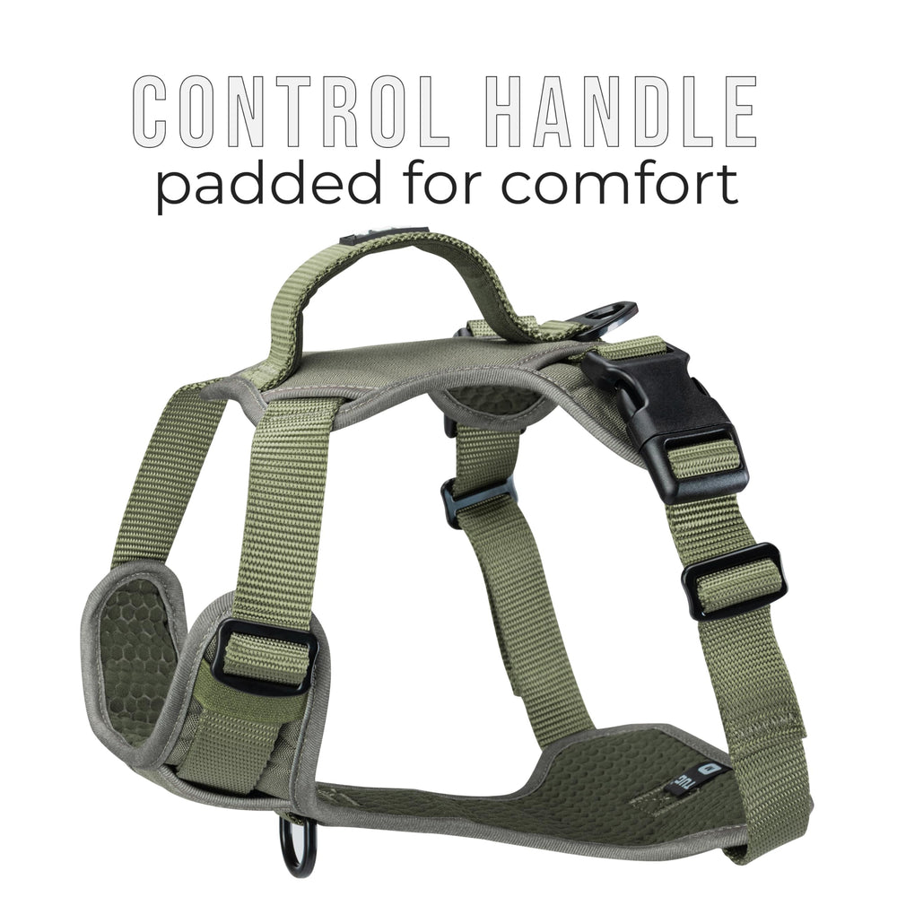 Coque extérieure TUG résistante, idéale pour chiens actifs et tirages