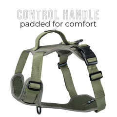 Coque extérieure TUG résistante, idéale pour chiens actifs et tirages