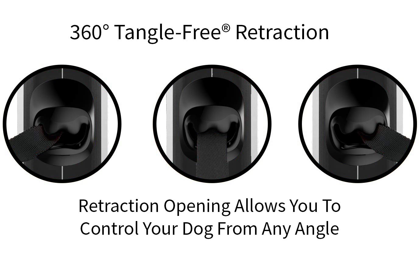 Laisse grande taille adaptée pour chiens jusqu'à 50 kg, sécurité renforcée