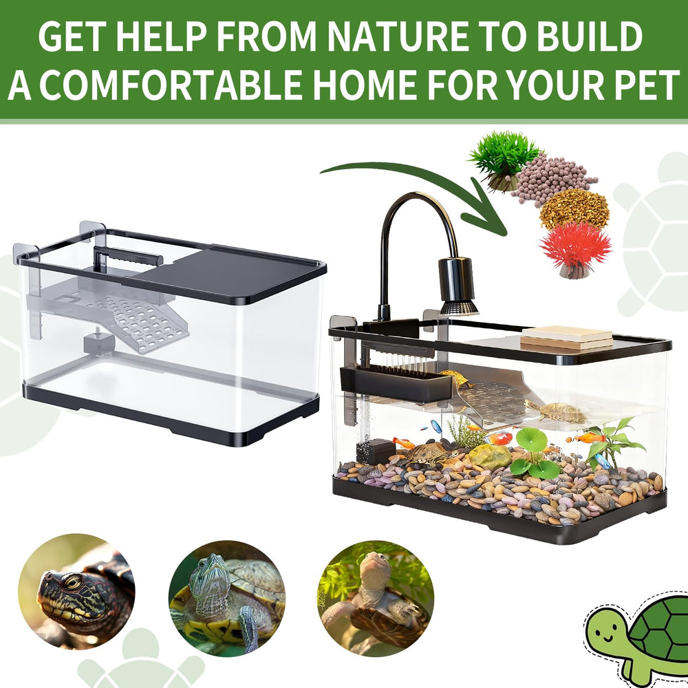 Deuxième plante décorative Tuhaoking, décor vivant et équilibré
