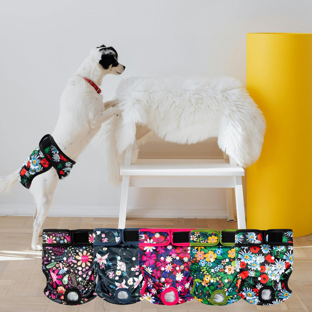 Tuiskusa couches pour chien femelle, design discret et tendance