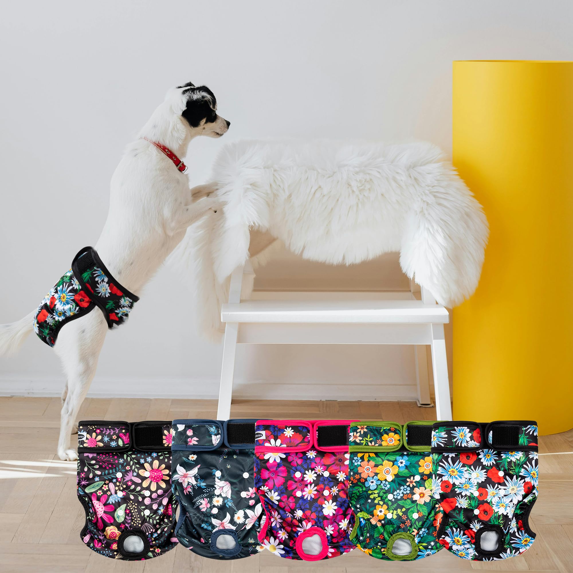 Tuiskusa couches-chien-femelle nettoyage facile et réutilisable, économie durable