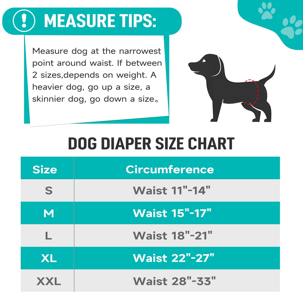 Confort Tuiskusa, design ergonomique pour chien mâle, sans frottement