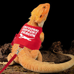 Harnais TUKOAW dragon barbu confort grâce au velcro ajustable