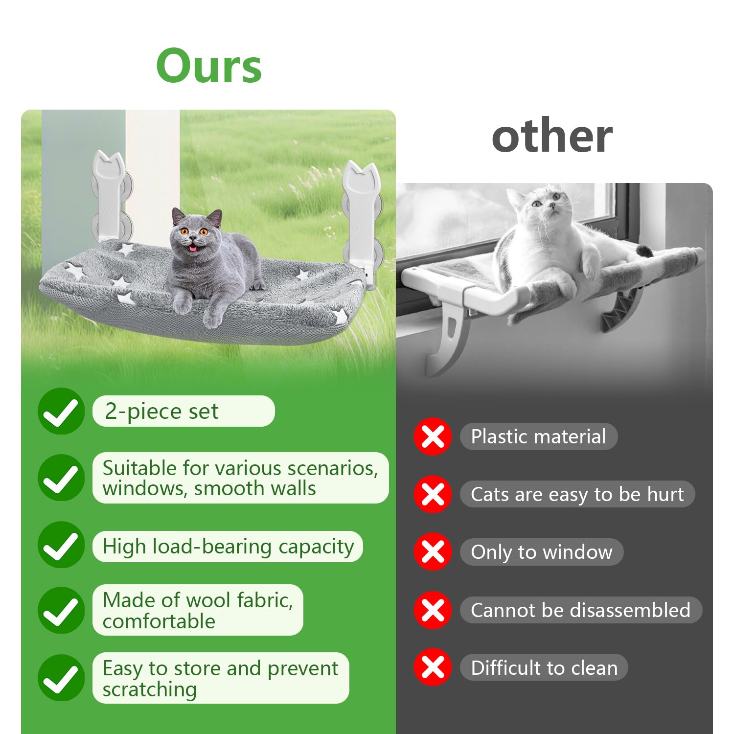 Chat profitant du soleil près de la fenêtre avec Turbosus.