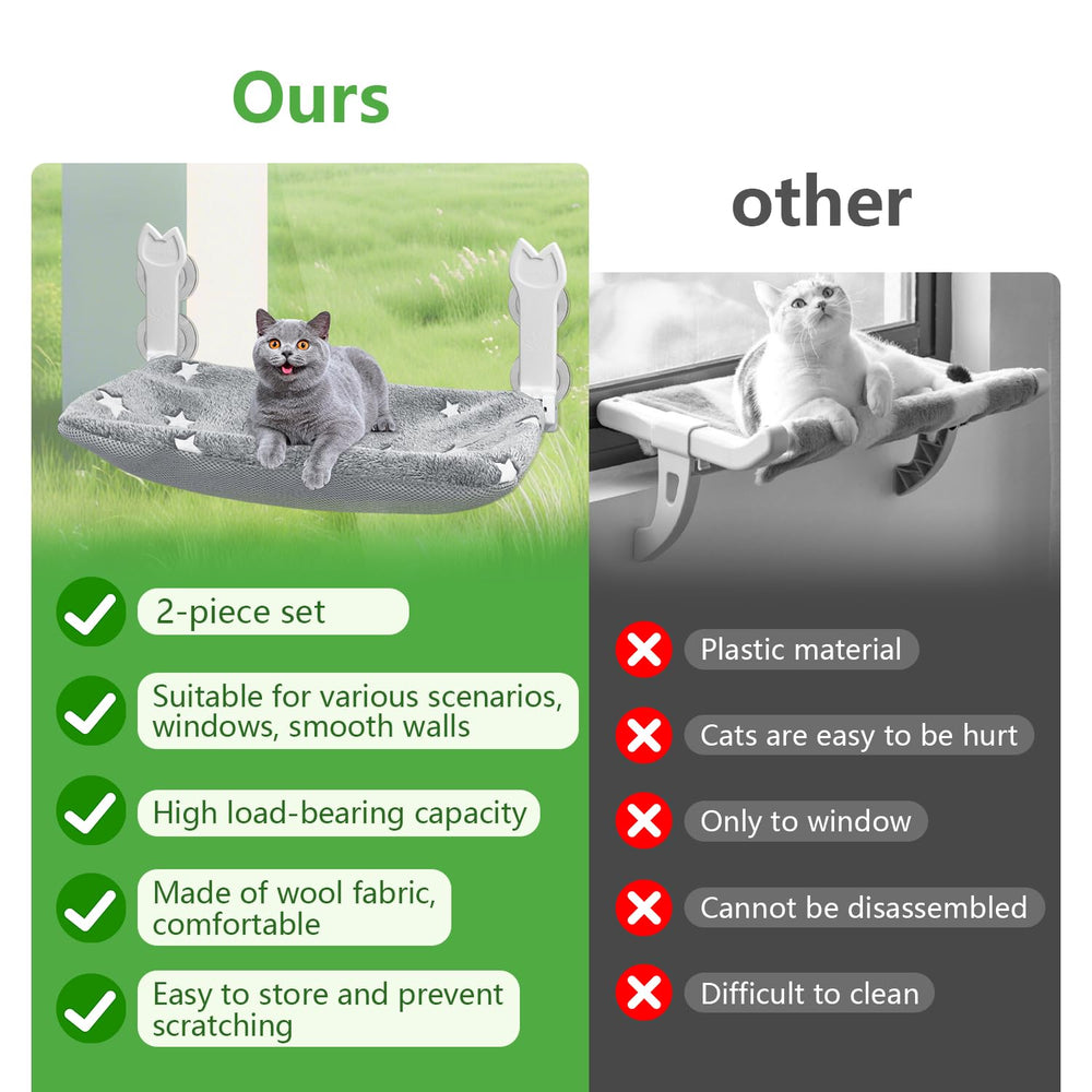 Chat profitant du soleil près de la fenêtre avec Turbosus.