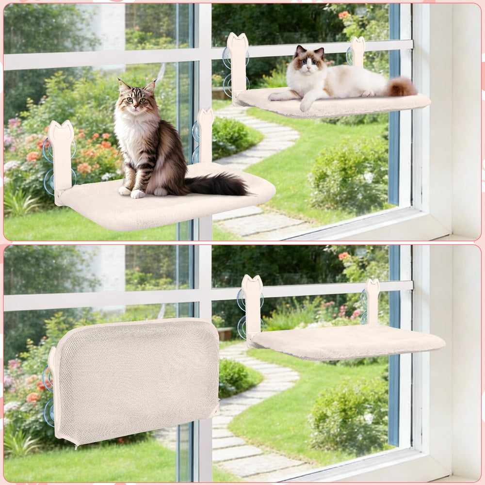 Placement sur une fenêtre ensoleillée pour profiter du soleil du chat.