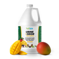 Bouteille TurfSpa Detox Odeur Turf Mango neutralisant les odeurs sur gazon.