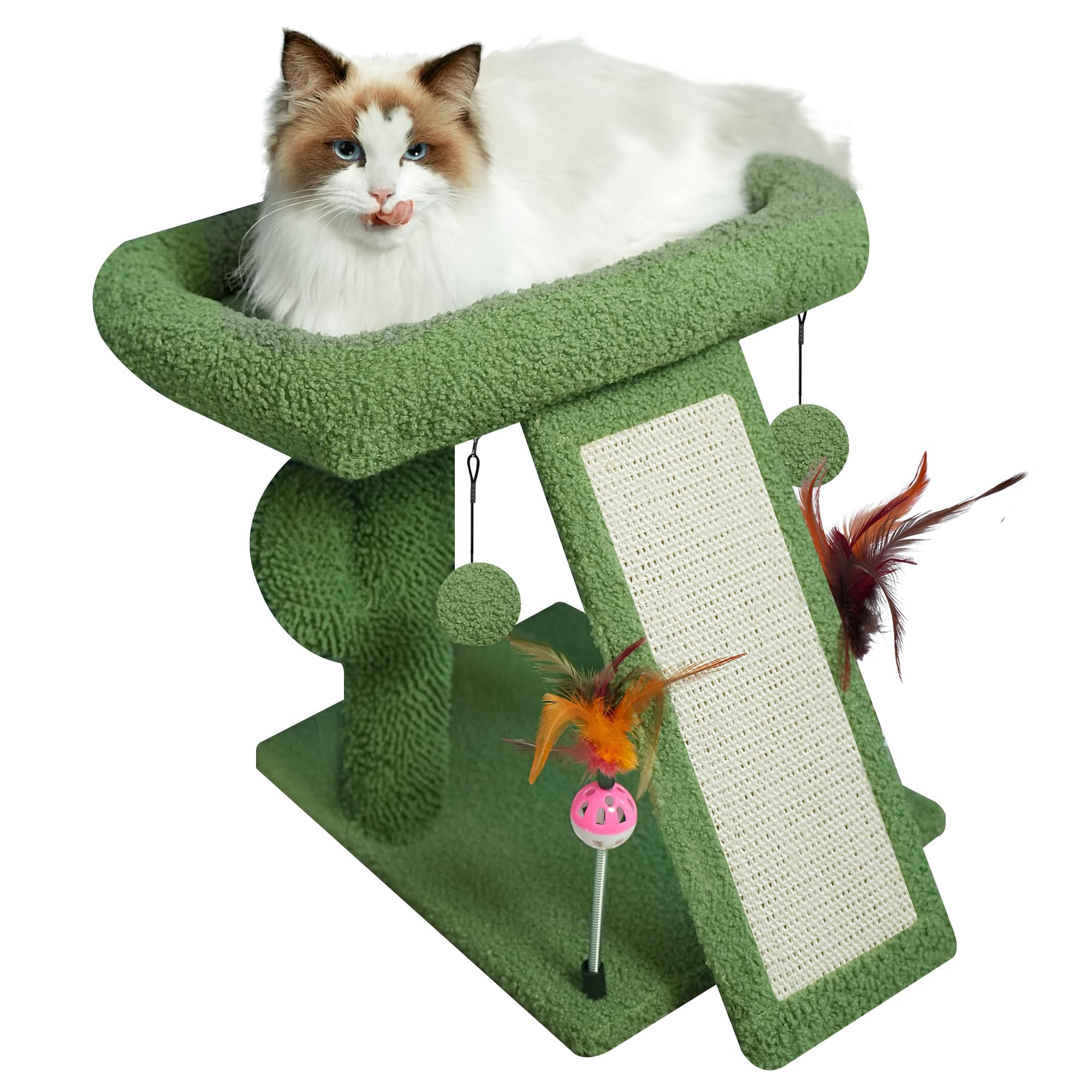 TWDEPART Arbre Chat Cactus vue haut : accès vertical pour grimper et observer