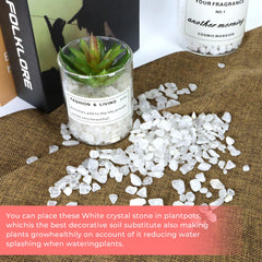 Twdrer quartz pour aquarium, éclats clairs apportant brillance et propreté.