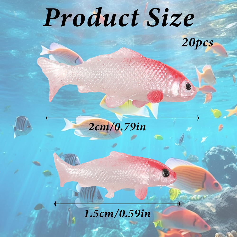 Tweruna poisson koi mini bleu 1,5 cm, ajout vivant en aquarium.