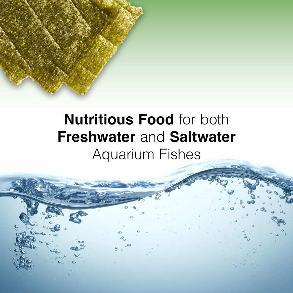Two Little Fishies algues vertes – aliment naturel idéal pour tangs et poissons anges