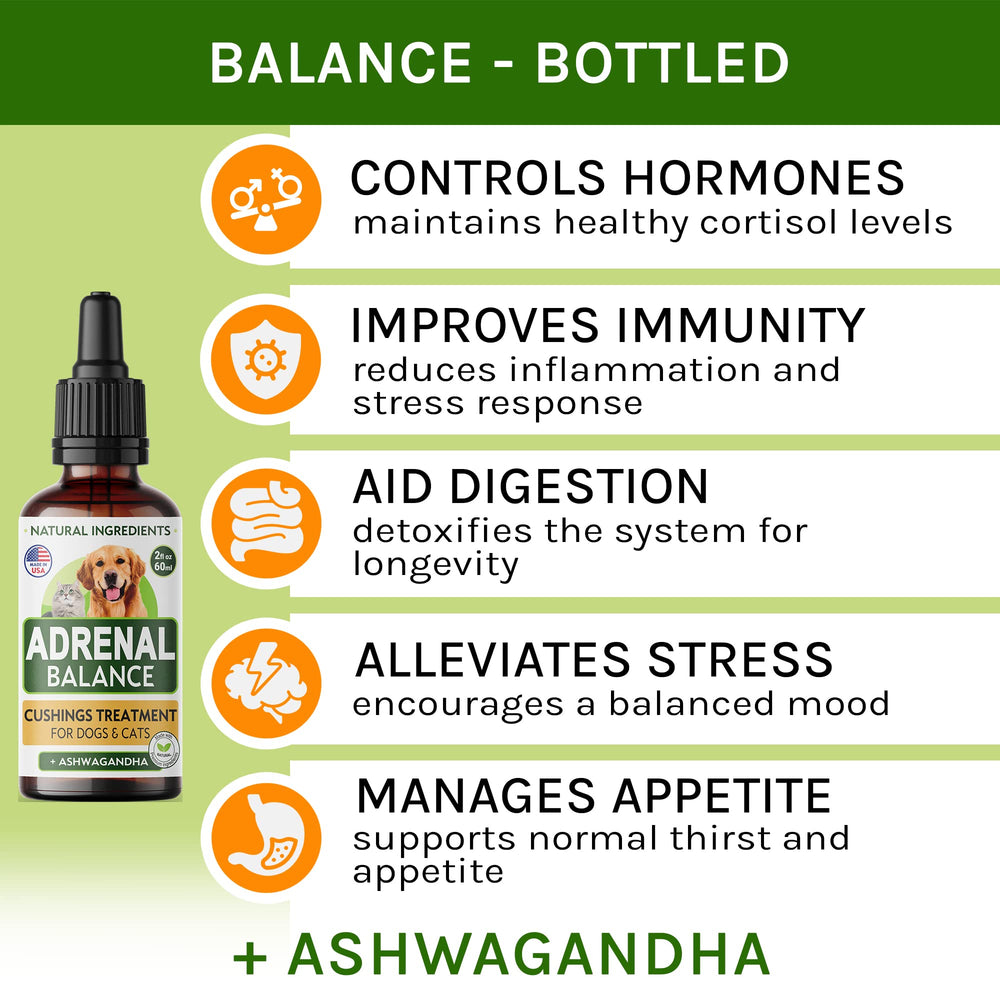 Gouttes Adrenal Balance faciles à doser pour chiens et chats.