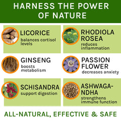 Ingrédient Ashwagandha dans Adrenal Balance, soutien hormonal naturel.
