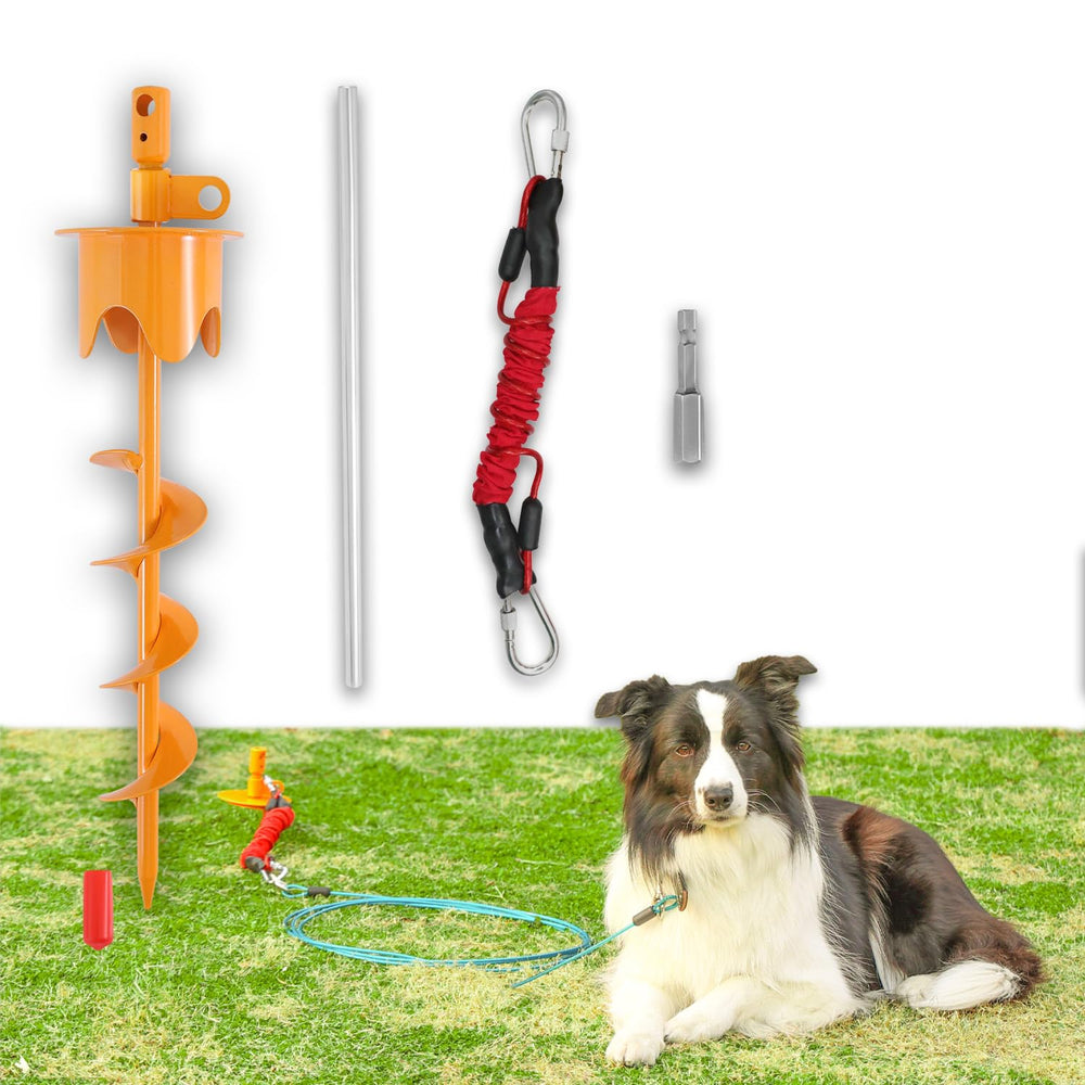 Tyalez piquet chien exterieur 350 livres, ancrage solide pour jardin.