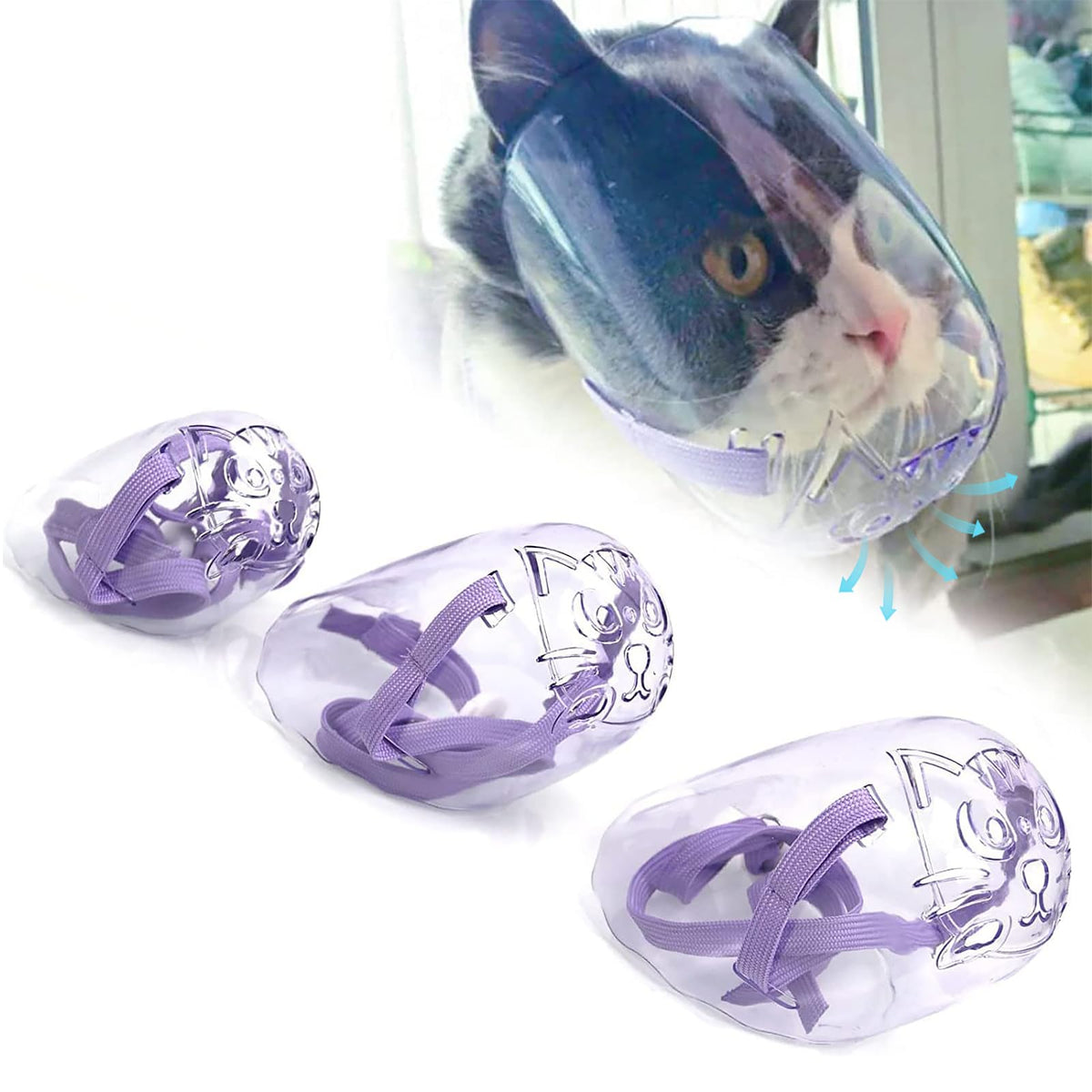 Museau-chat transparent par Tylulikaty utilisé pour le toilettage en sécurité.