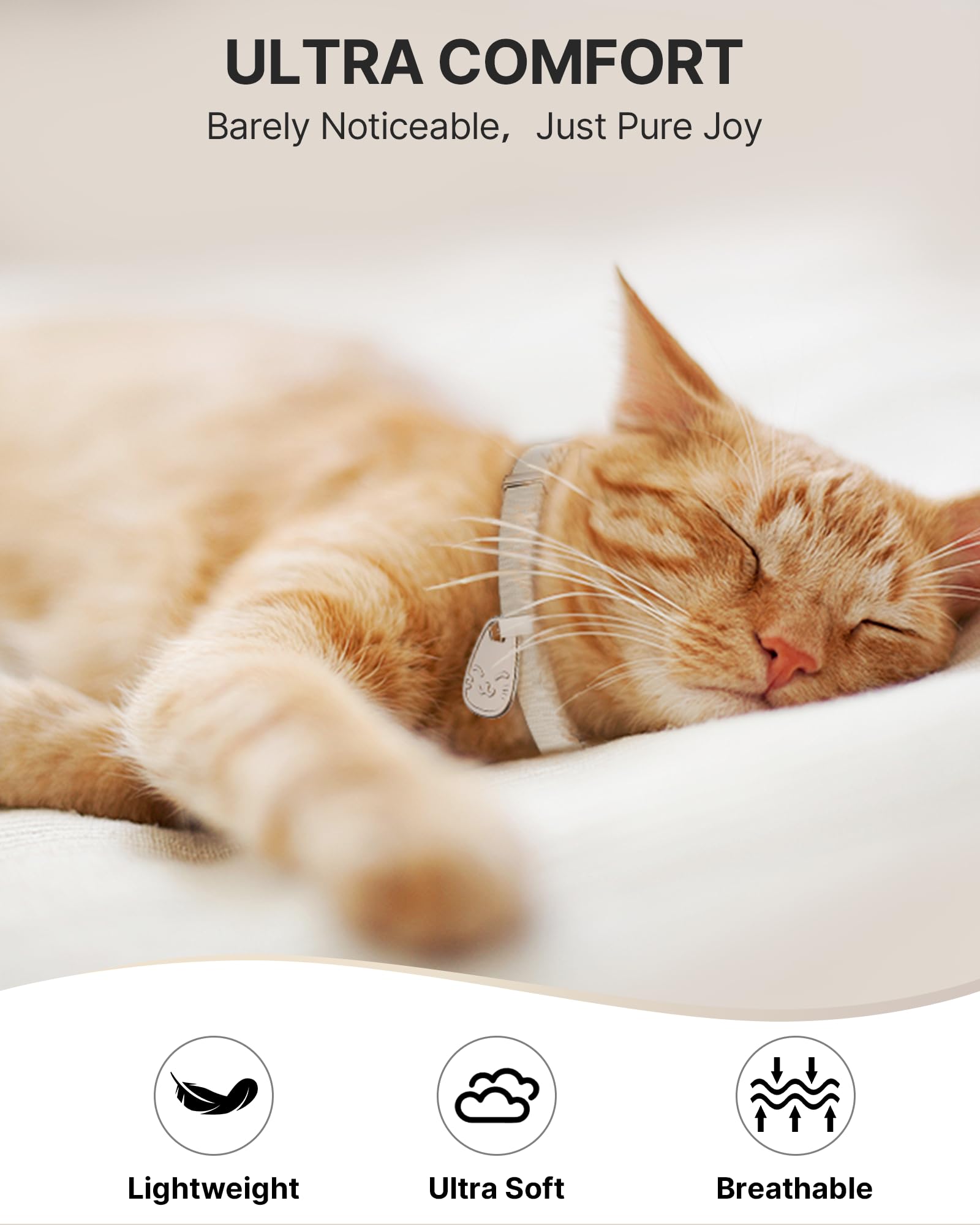 Typecase collier-chat ajustable 6-12 pouces pour suivre la croissance du chat.