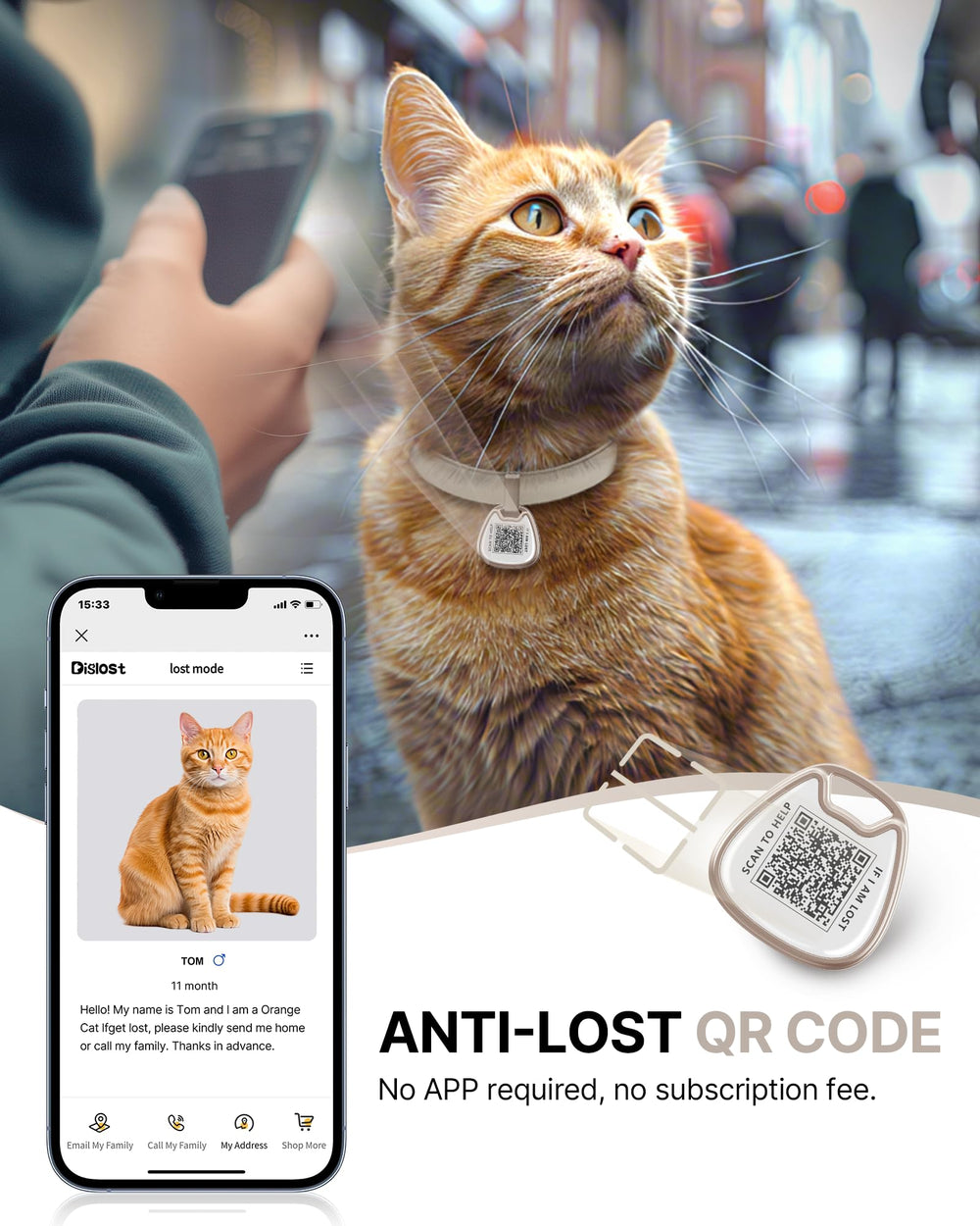 Typecase collier-chat avec boucle de sécurité, idéal pour chats actifs.