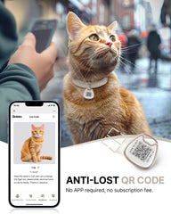 Typecase collier-chat avec boucle de sécurité, idéal pour chats actifs.