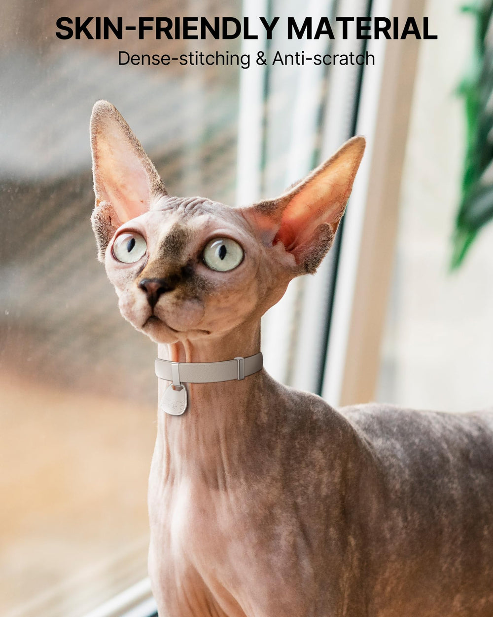Typecase collier-chat résistant à l'eau et aux rayures pour l'extérieur.