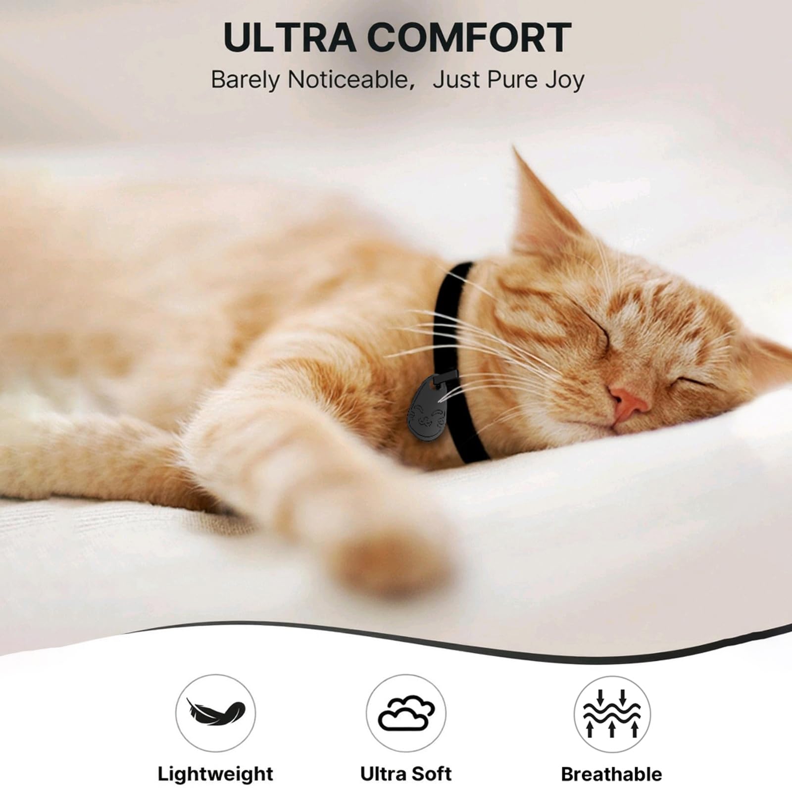 Réglage 6-12 pouces: collier ajustable pour chats en croissance.