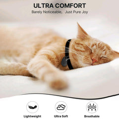 Réglage 6-12 pouces: collier ajustable pour chats en croissance.