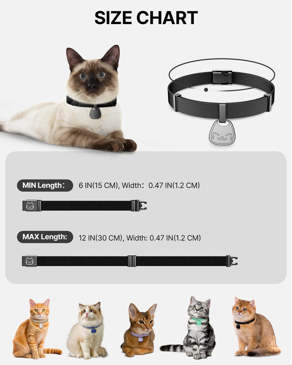 Port quotidien intérieur et extérieur, collier confortable pour chat.