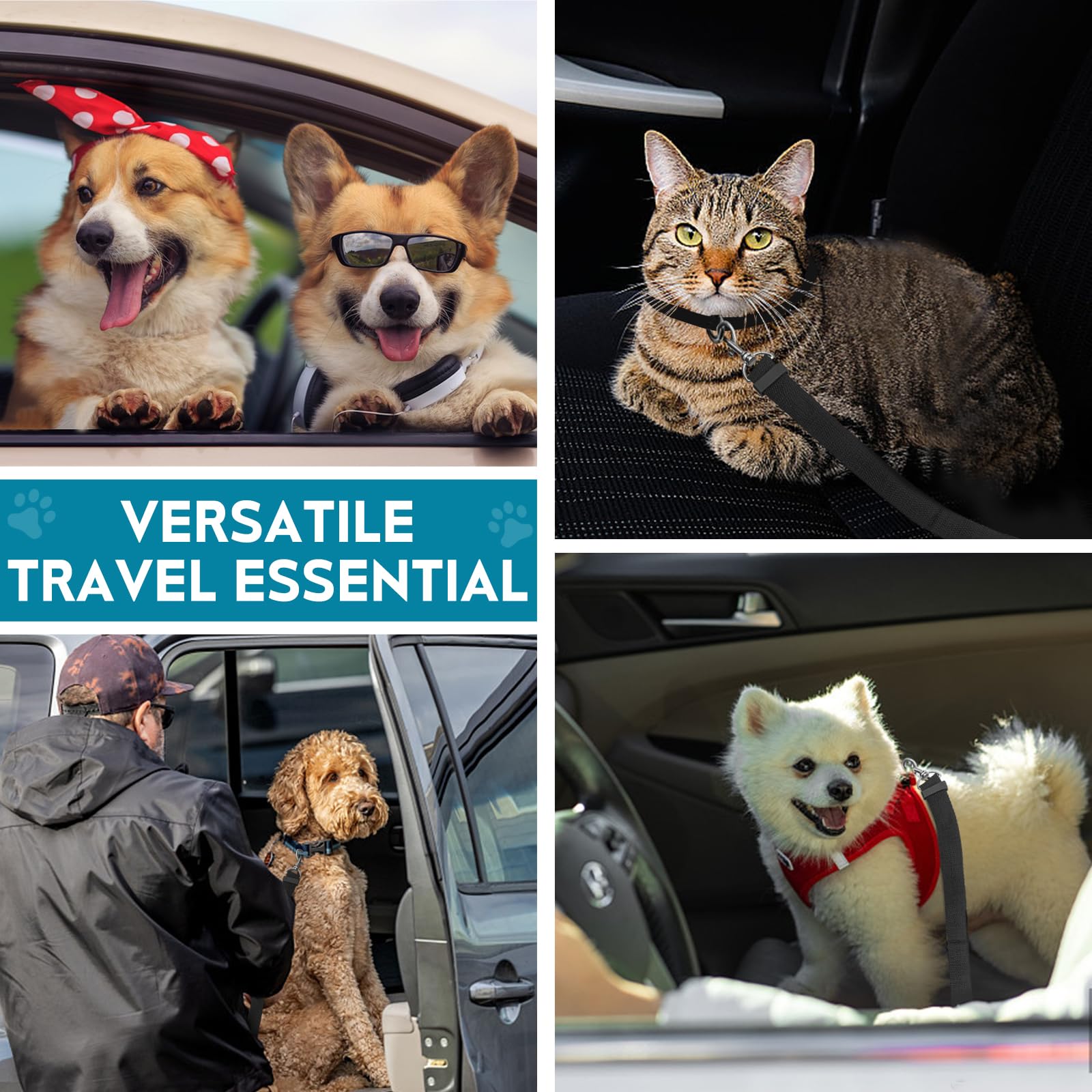 TYTDOUTER Confort et sécurité durant les trajets quotidiens en voiture.