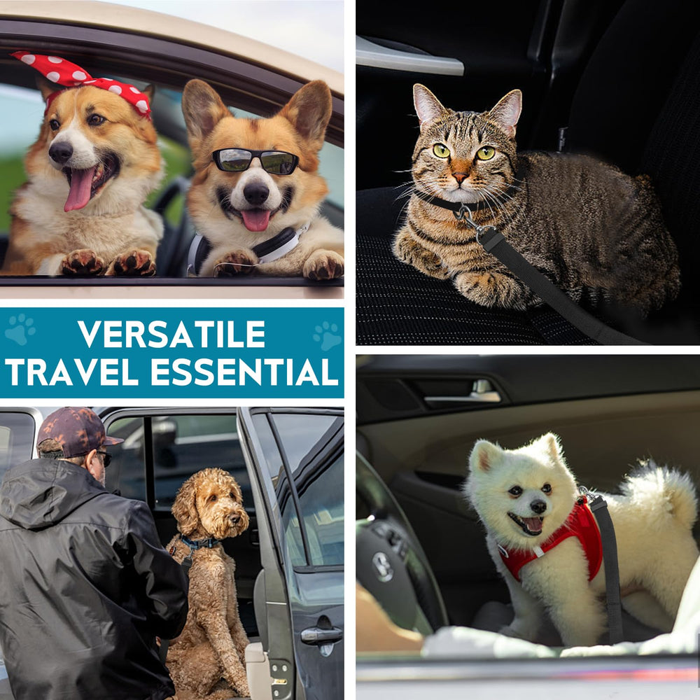 TYTDOUTER Confort et sécurité durant les trajets quotidiens en voiture.