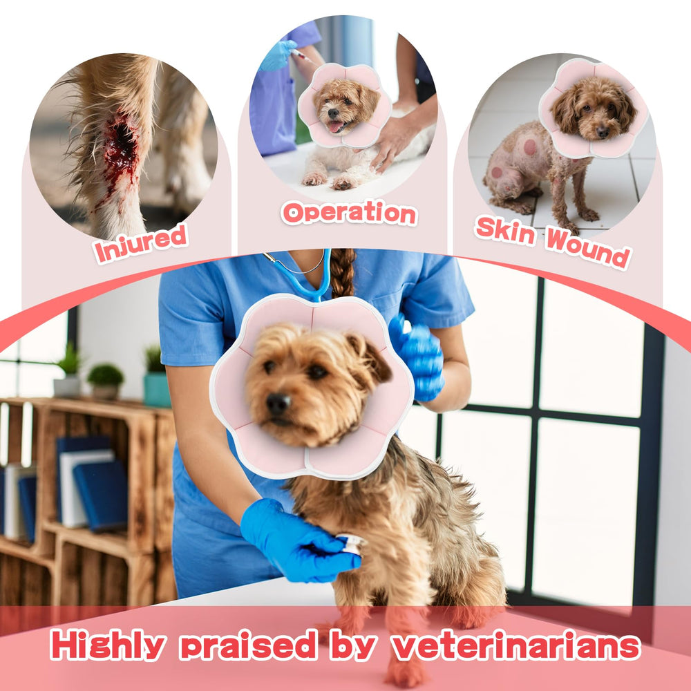 Usage quotidien TZBEINN: cône adaptable au quotidien du chien.