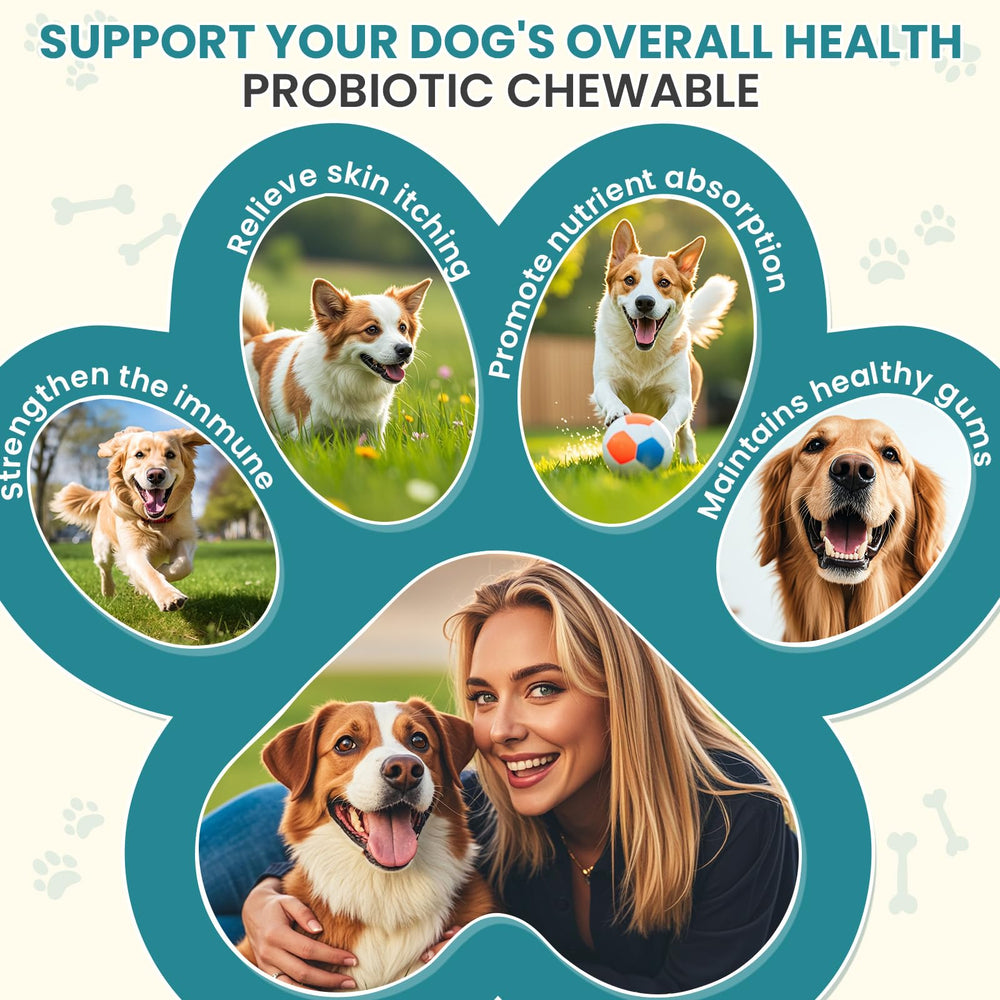 TzzyiC friandises chiens sans gluten et sans soja pour sensibilités éventuelles.